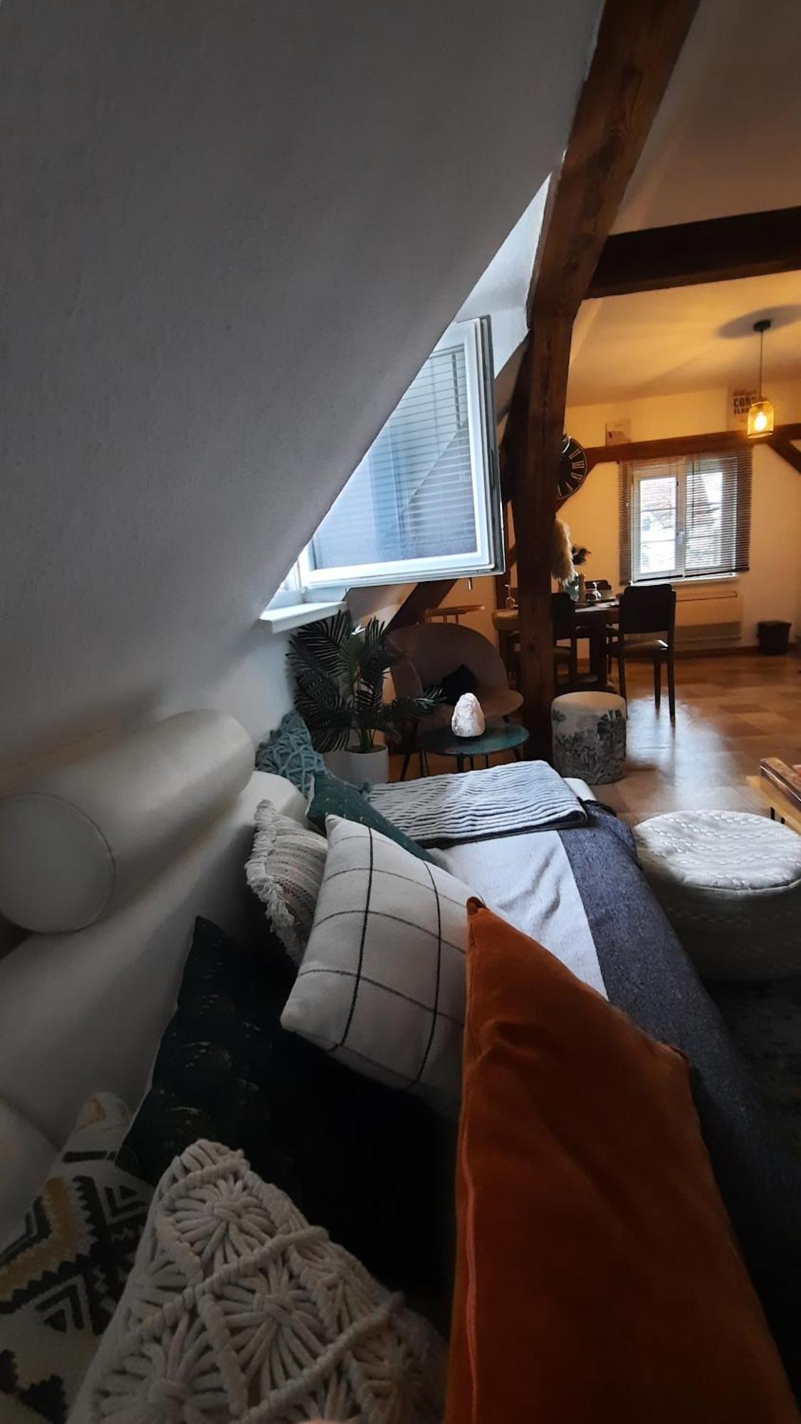 Charmant Appartement Proche Strasbourg A Eckwersheim Bagian luar foto